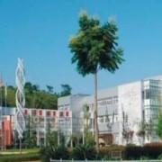 綿陽農(nóng)業(yè)學(xué)校2022年簡介、地址在哪,學(xué)費(fèi)多少-學(xué)校有專業(yè) 單招分?jǐn)?shù)線