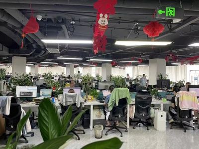 解讀成都茂松軟件怎么樣